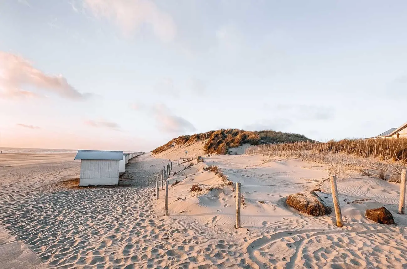 Texel