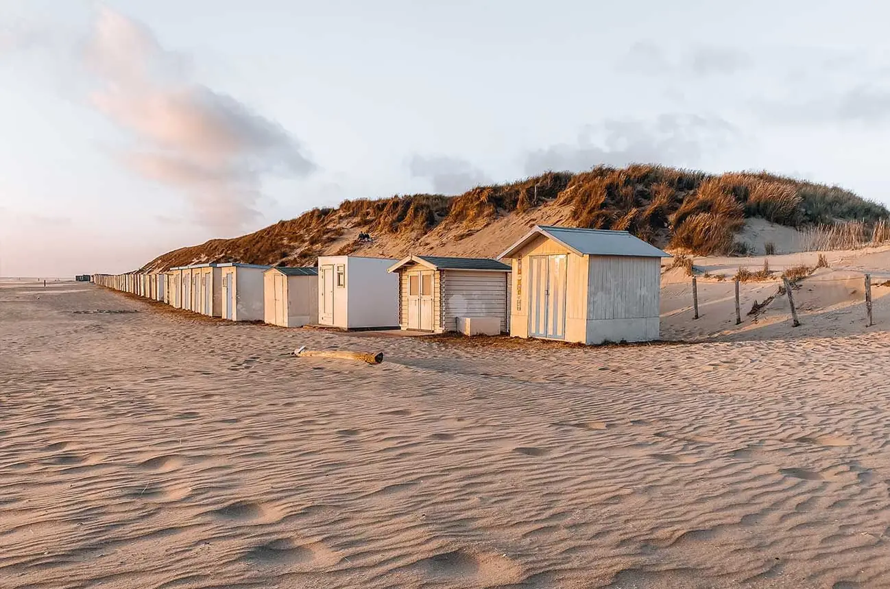 Texel