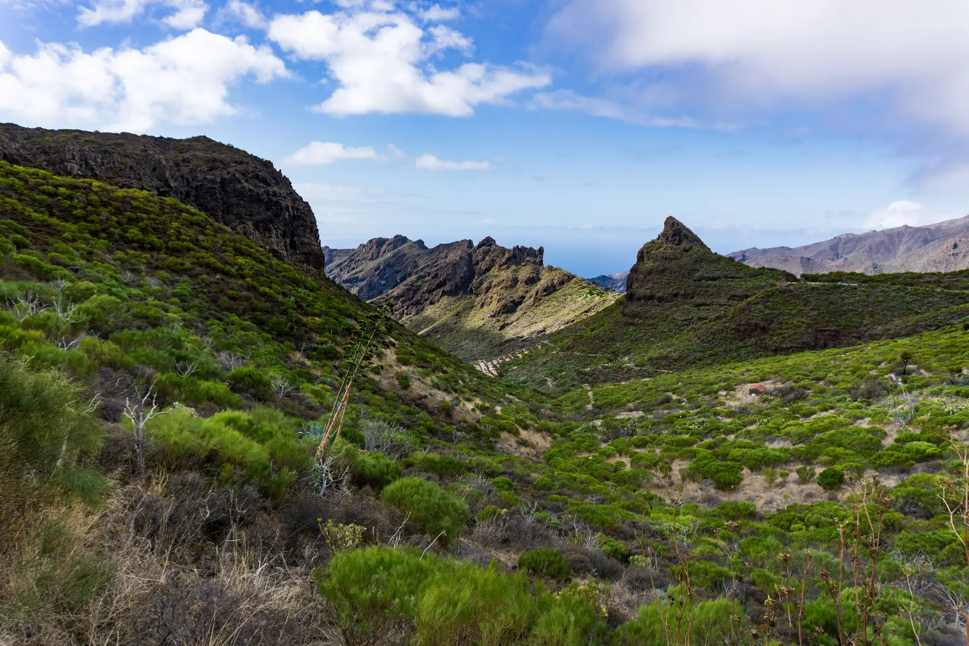 Tenerife