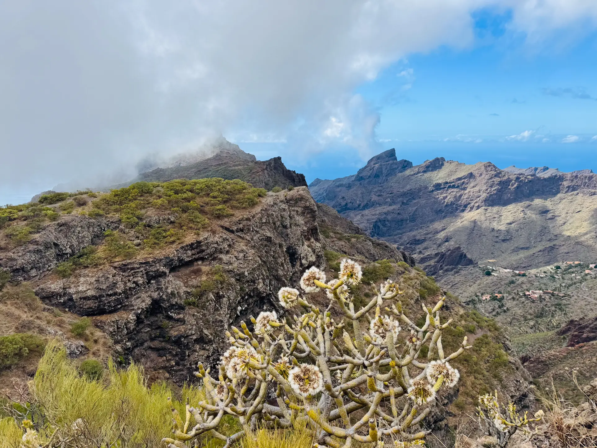 Tenerife