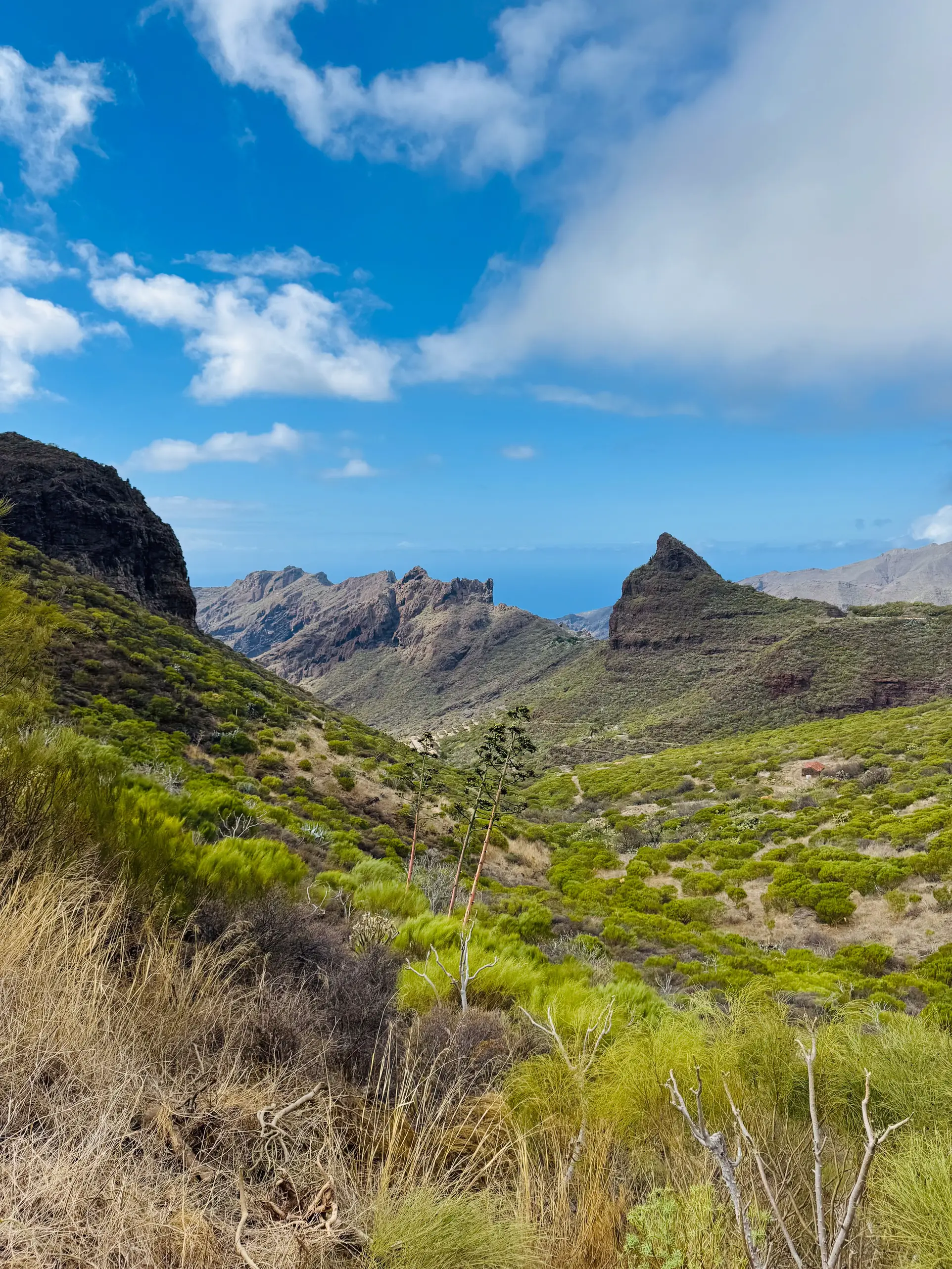 Tenerife