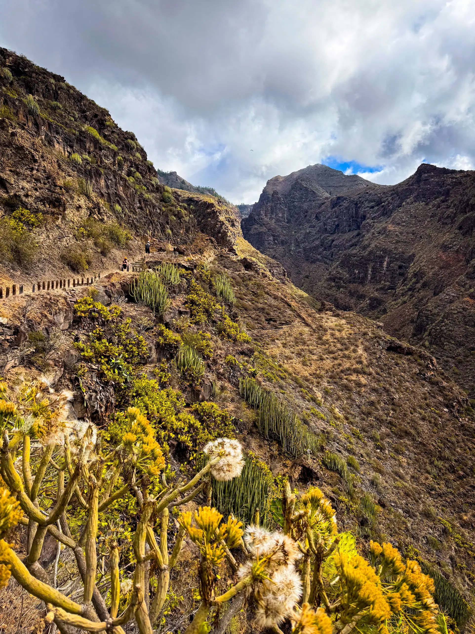 Tenerife