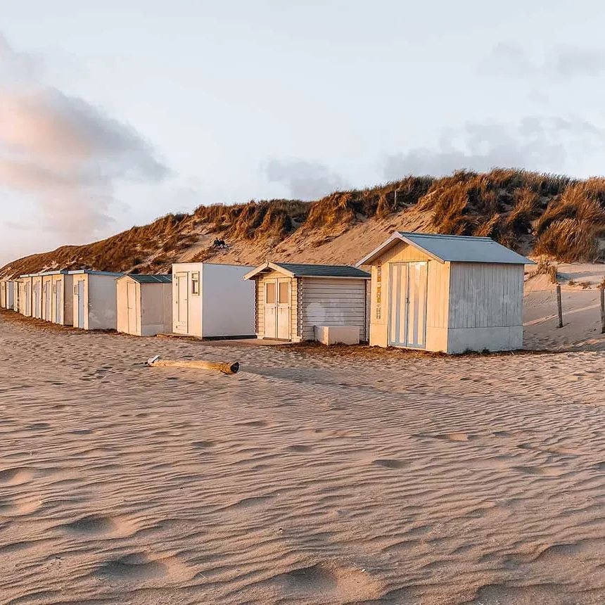 Texel