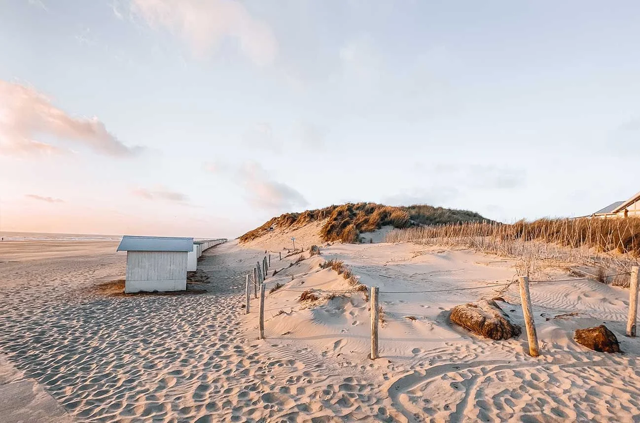 Texel