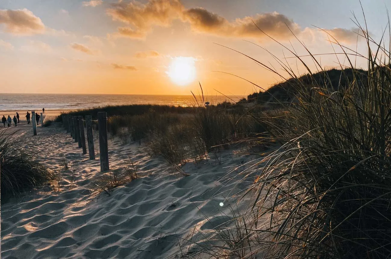 Texel