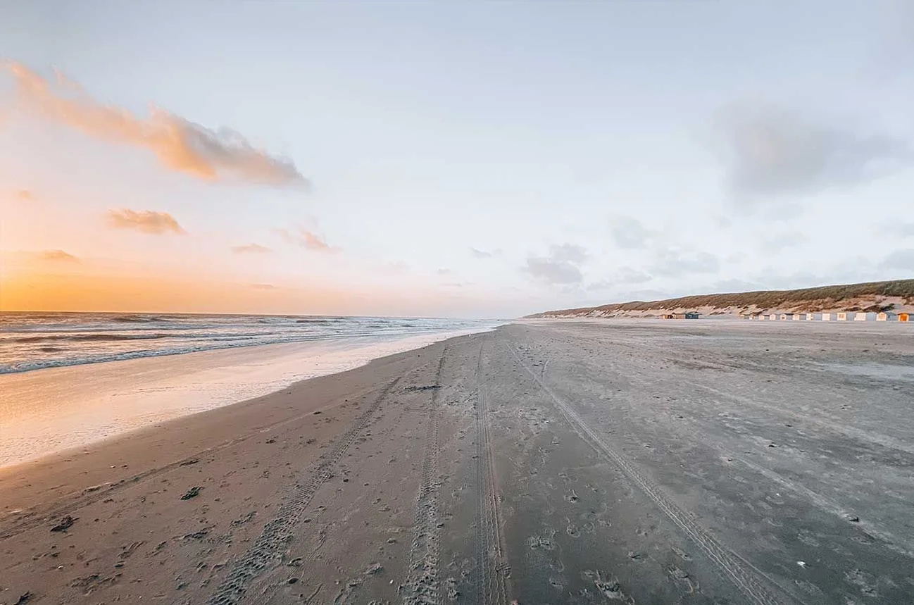 Texel