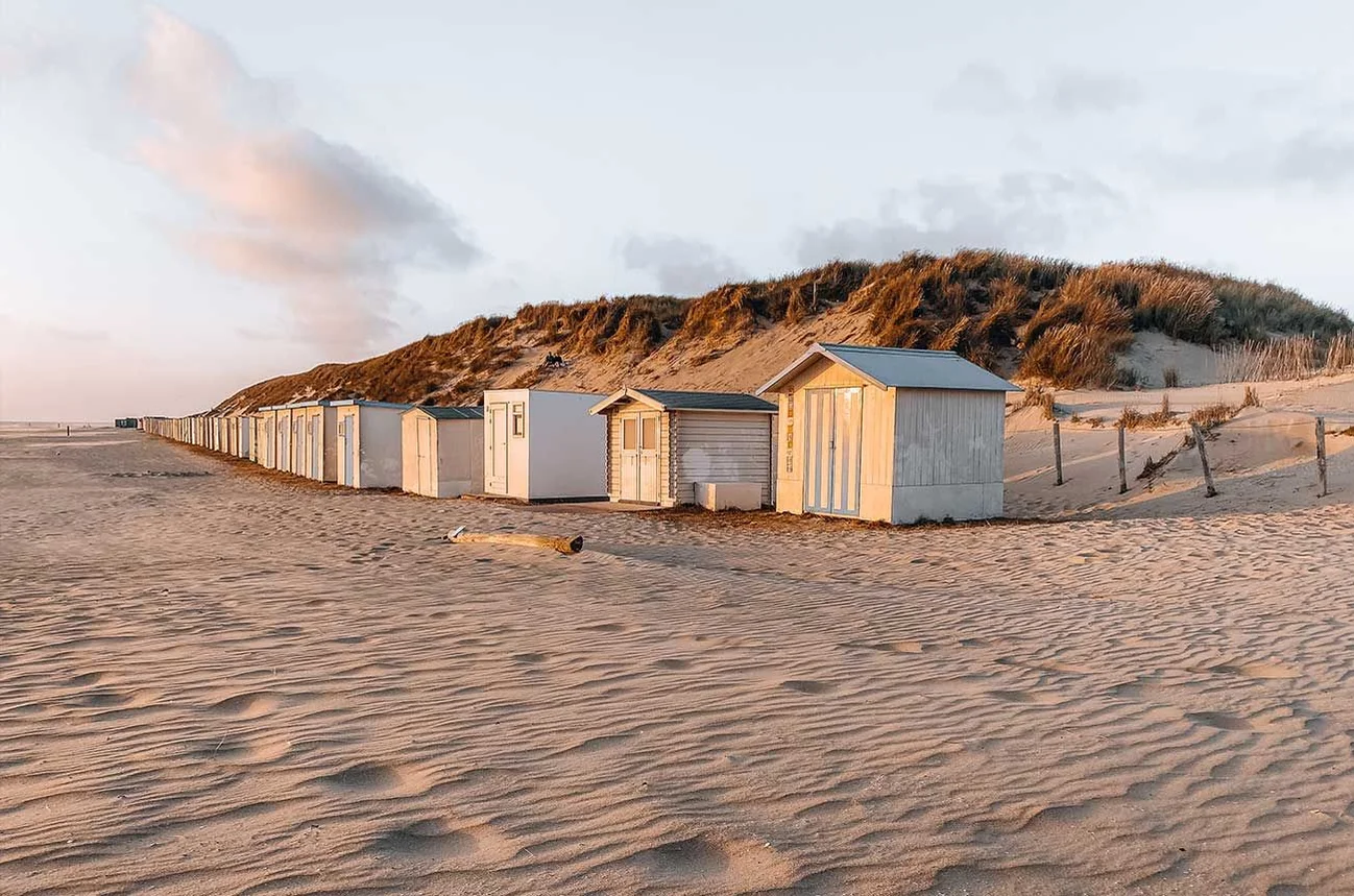 Texel