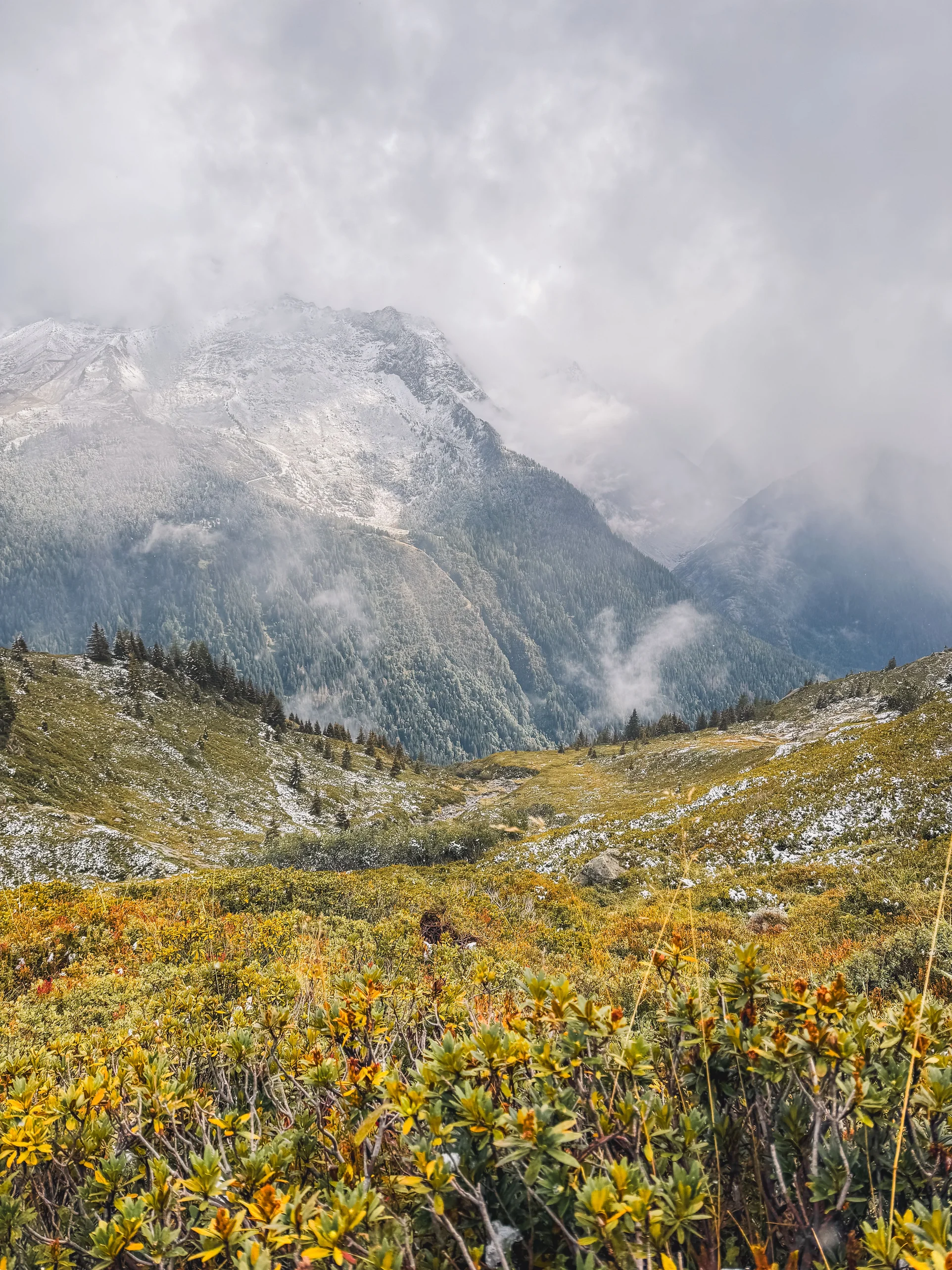 Chamonix